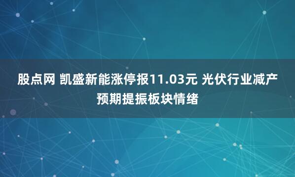 股点网 凯盛新能涨停报11.03元 光伏行业减产预期提振板块情绪