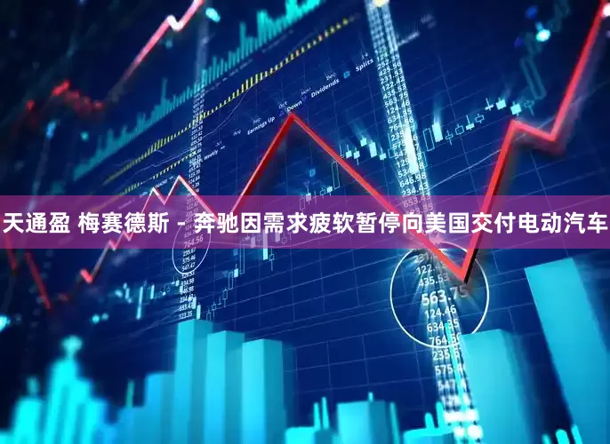 天通盈 梅赛德斯 - 奔驰因需求疲软暂停向美国交付电动汽车