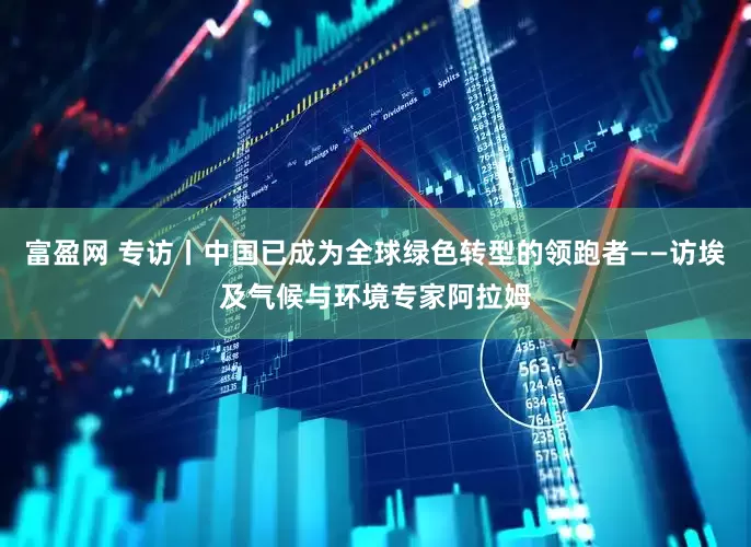 富盈网 专访丨中国已成为全球绿色转型的领跑者——访埃及气候与环境专家阿拉姆