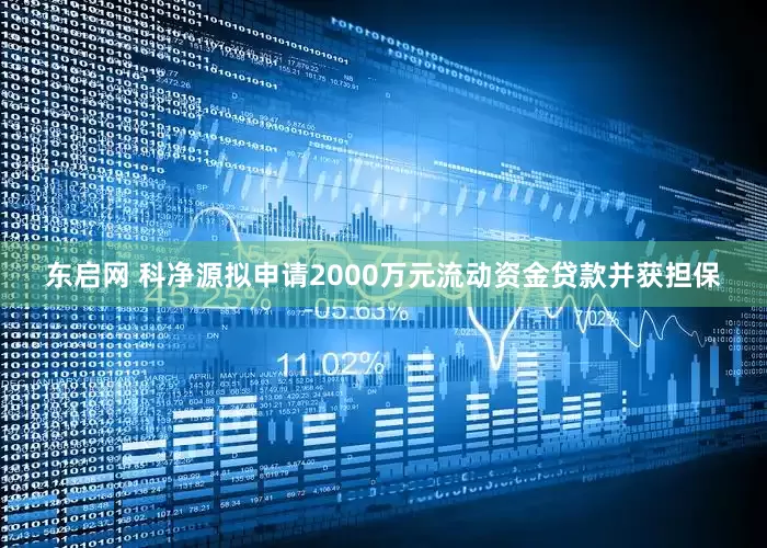 东启网 科净源拟申请2000万元流动资金贷款并获担保
