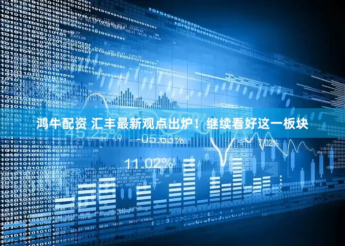 鸿牛配资 汇丰最新观点出炉！继续看好这一板块