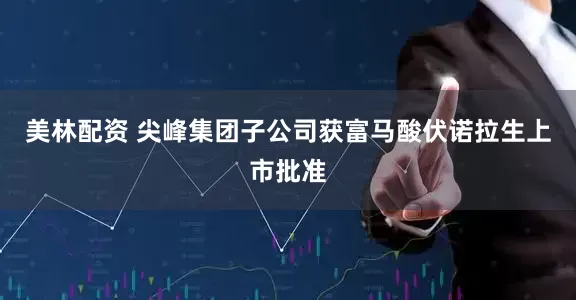 美林配资 尖峰集团子公司获富马酸伏诺拉生上市批准