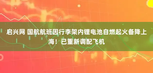 启兴网 国航航班因行李架内锂电池自燃起火备降上海！已重新调配飞机