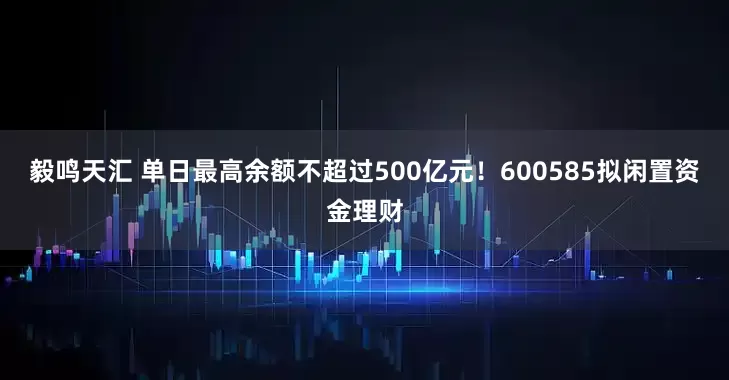 毅鸣天汇 单日最高余额不超过500亿元！600585拟闲置资金理财