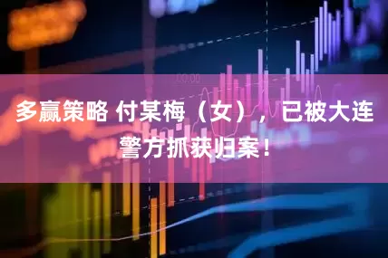多赢策略 付某梅（女），已被大连警方抓获归案！