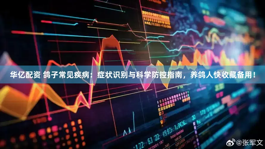 华亿配资 鸽子常见疾病：症状识别与科学防控指南，养鸽人快收藏备用！